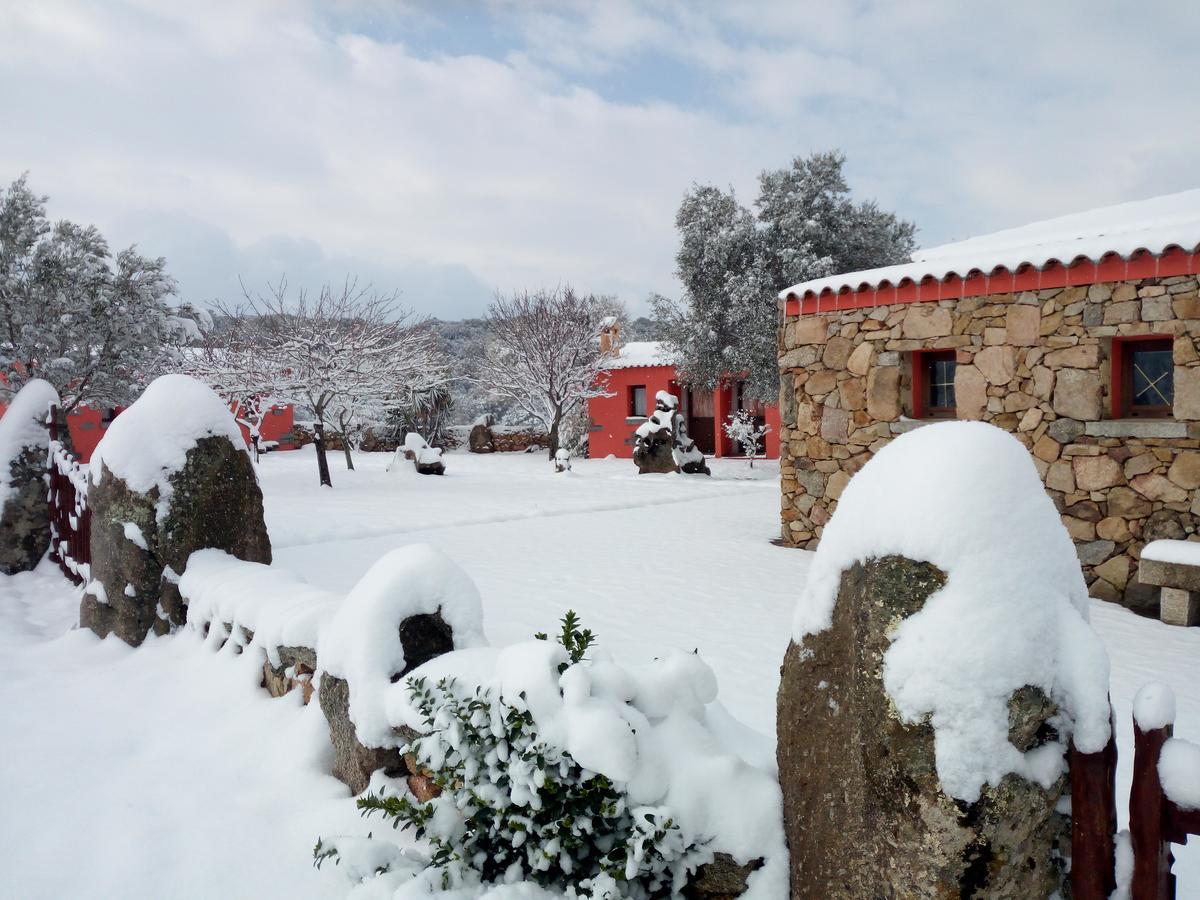 Turismo Rurale L'Agliuledda Villa Sant'Antonio di Gallura Exteriör bild